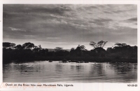 Down on the River Nile near Murchinson Falls, Uganda