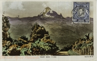 Mount Kenya Ft,17041