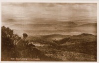 The Escarpment,Limuru