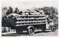 Coffee Motor Transport to Railhead - Kenya