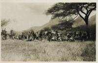 nil (a caravan of camels)