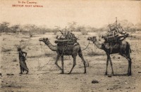 In the country - BRITISH EAST AFRICA