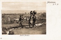 Native Planters