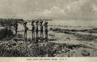 Water carrier Lake Victoria , Mango B.E.A.