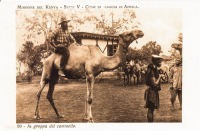 In groppa del camelo - Come si viaggia in Africa