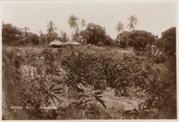 Native Huts, Mombasa