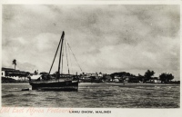 Lamu Dhow, Malindi