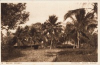 Native Houses, Mombasa, Kenya Colony