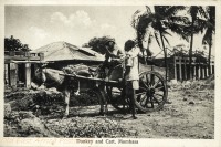 Donkey and Cart. Mombasa