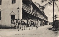 Mombasa. Donkeys carrying building material