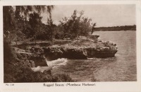 Rugged Beauty (Mombasa Harbour)