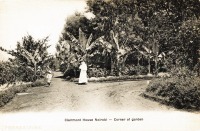 Clairmont House near Nairobi - Corner of the garden