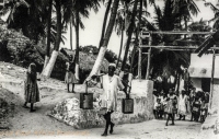 LAMU SCENE