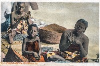 Picking cloves, Zanzibar