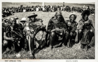 Kikuyu Chiefs