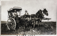 nil (a care cart)
