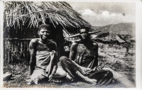 nil (Ventouses indigènes)