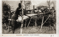 Tessitore e telaio indigeno