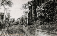 A Typical Uganda Road