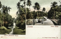Cloves Plantations Street + Oleizo Bridge