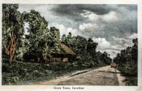 Clove Trees