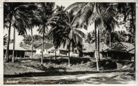 Zanzibar (interior scenery)