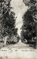 Clove Avenue at Wazelo