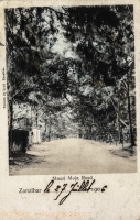 Mnazi Moja Road
