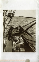 nil (tusks on a boat)