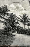 Chuckwani Road