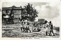 On the Sea Shore