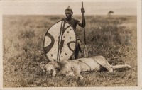 nil (Lion killed by a Masai Warrior)