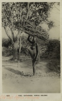 Fuel Gatherer, Kenya Colony