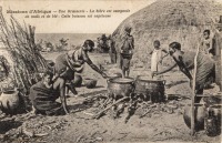 Une brasserie - La bière est composée de maïs et de blé : Cette boisson est capiteuse