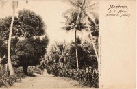 Mombasa, B.E.A. Mombasa Scenery