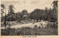 Bububu Bridge, Zanzibar