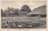 Clove Drying, Zanzibar