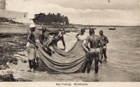 Net Fishing. Mombassa