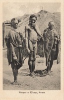 Kikuyus at Kikuyu