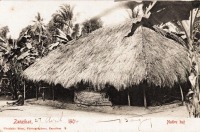 Native hut
