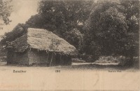 Native Hut