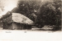 Native hut