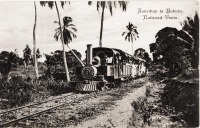 Zanzibar to Bububu Railroad train
