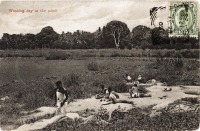 Washing day at the pond