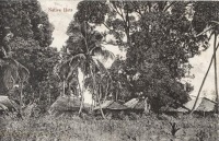 Native huts