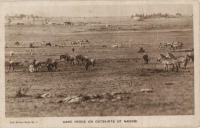 Game Herds on the outskirts of Nairobi