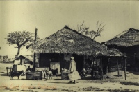 Native Village, Mombasa