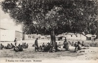 A resting tree wuika people. Mombasa