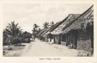 Native village, Zanzibar