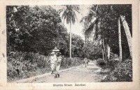 Shamba Street, Zanzibar